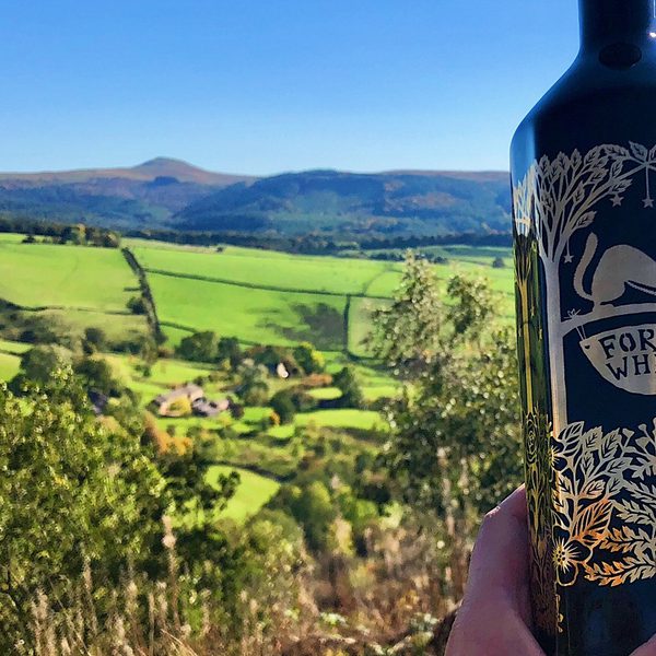 1 D960 F2 B 145 B 4 D7 F 8 CBA D2 E72 F90 E7 F4