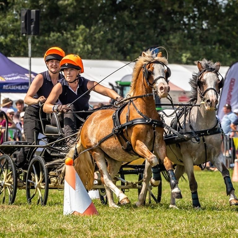 240731 Scurry Nantwich Show PR0653