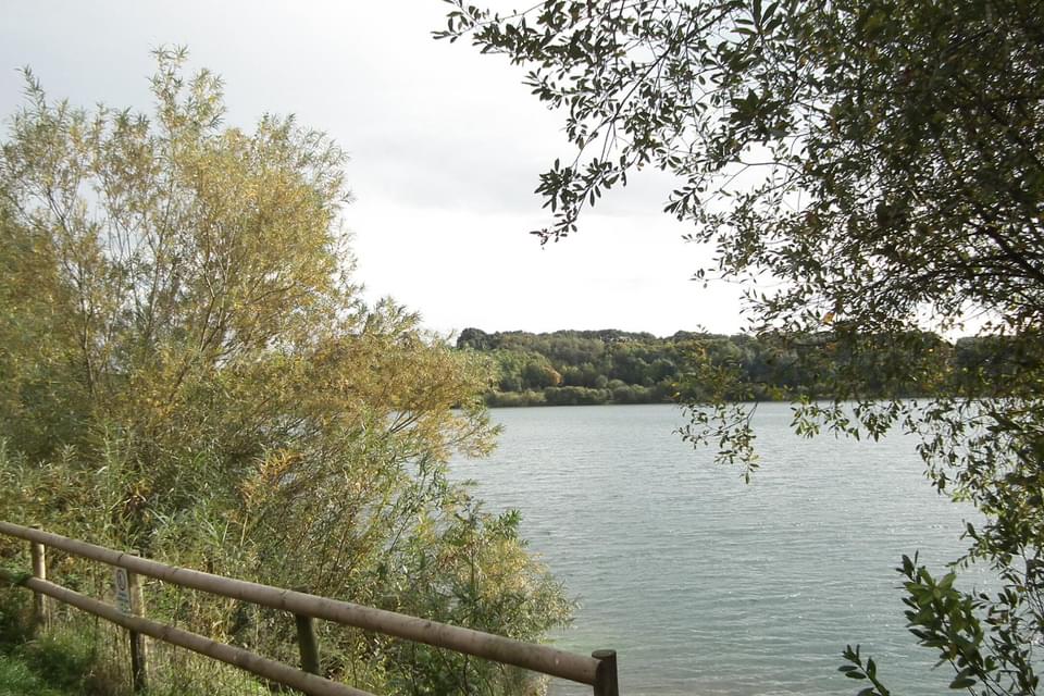 Astbury mere 380679857