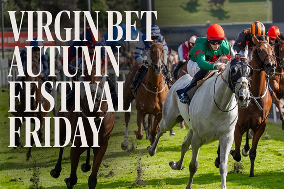 BMF Chester Cup Day 2026 Website Fixture Image