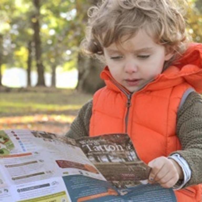 Book tickets online 1