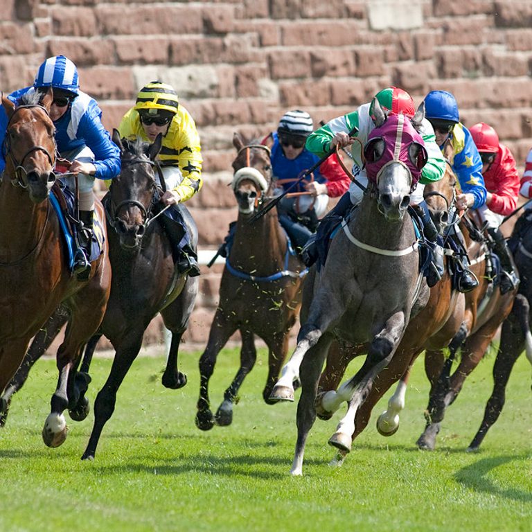 Chester racecourse hero