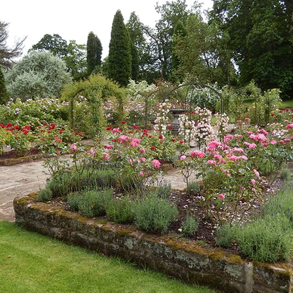 Cholmondeley Castle 01