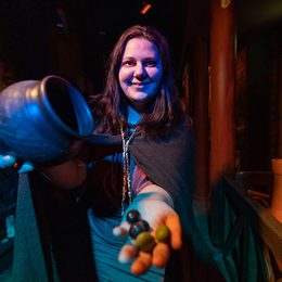 Deva Roman Experience 02