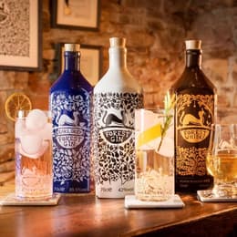Forest Gin Range product shot