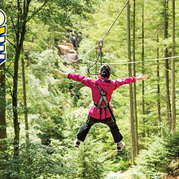 Go Ape Delamere 01