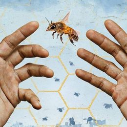 Imgi 190 Beekeeper Social Hands 1920x1080px1 aspect ratio 1500 600