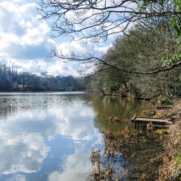 Lymm Dam Matt Harrop 1880414230