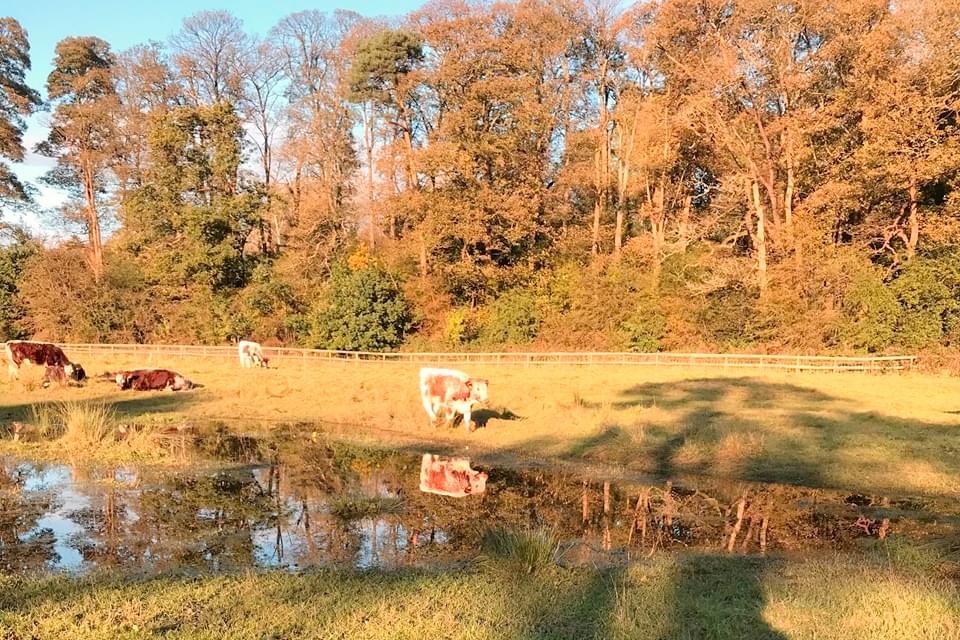 Macclesfield Riverside Park