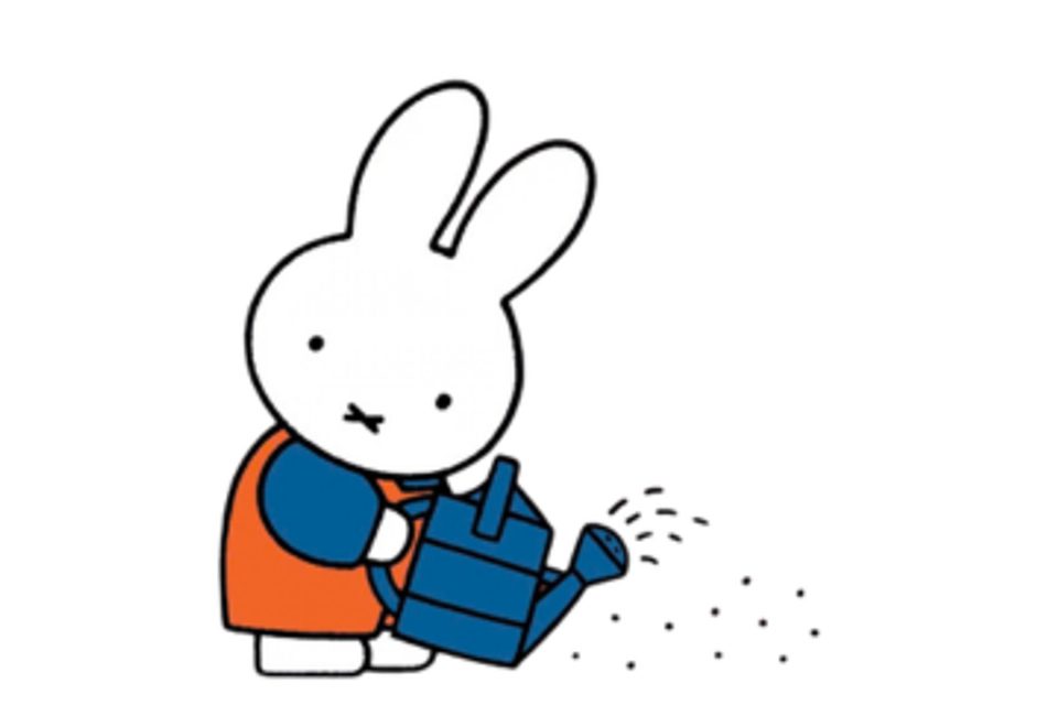 Miffy Watering
