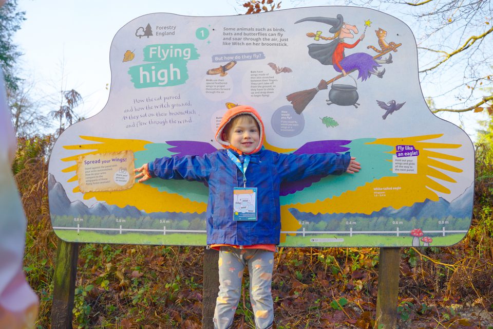 Room on the broom trail delamere