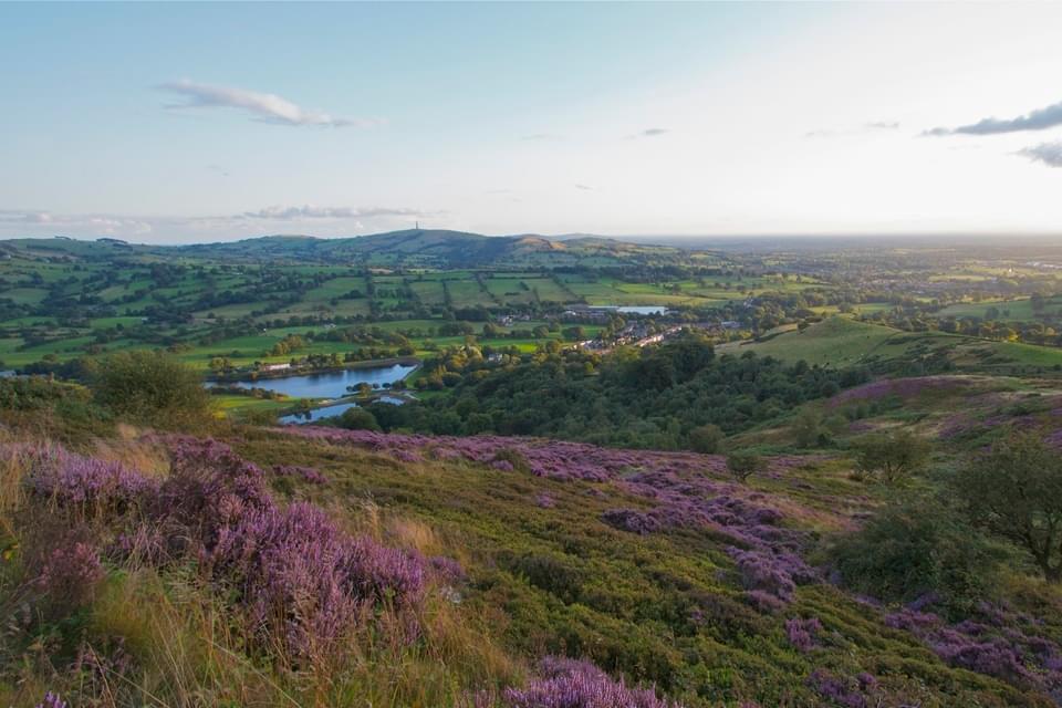 Teggsnose Heather View