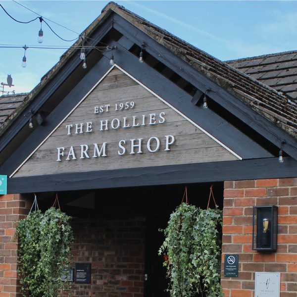 Website LB Photos 01